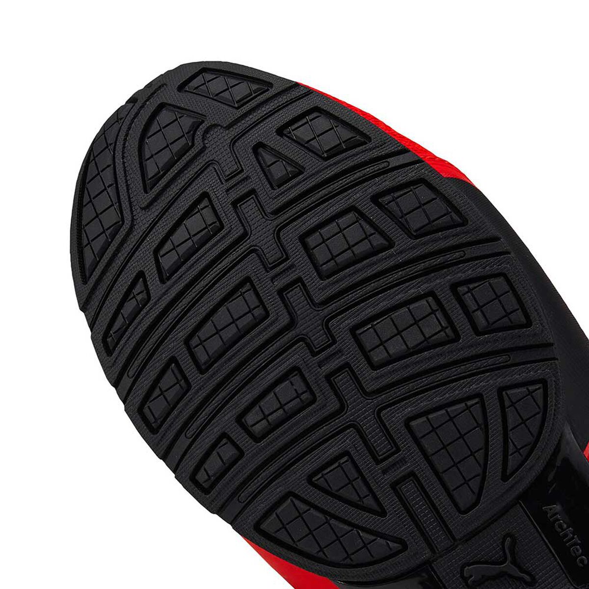 Zapatilla Hombre Puma