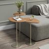 Set Mesas Decocasa Botanic Champagne