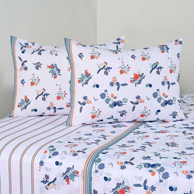 Juego de Sábanas American Family King 144 Hilos Citrus Azul