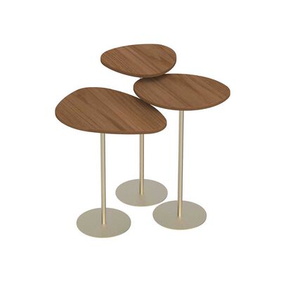 Imagen 1 del producto Set Mesas Decocasa Botanic Canela Champagne