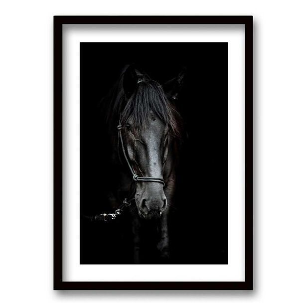 Cuadro Decorativo Retela Caballo BN 40 x 30 cm