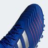 Zapato De Fútbol Hombre Adidas Predator 19.2 Hg