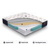 Cama europea CIC Queen Premium