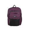 Mochila Notebook Kong 4Xt Morado 16" Xl Xtrem