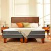 Cama Europea CIC 2 Plazas Ortopedic + Respaldo Torino