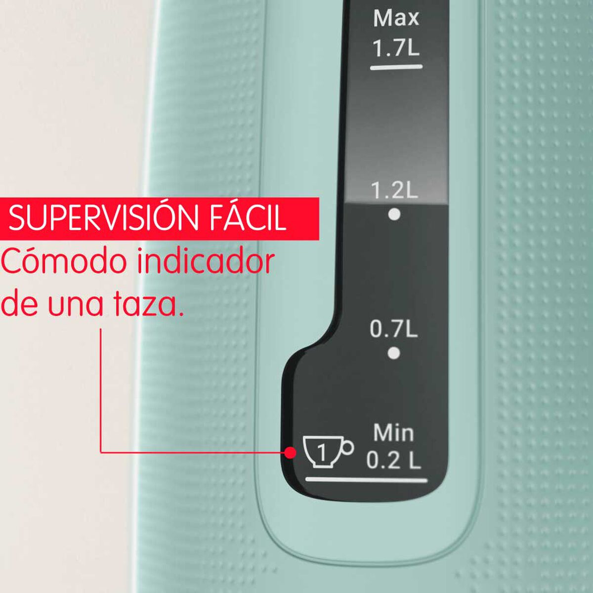 Hervidor Moulinex BY2M1310 1,7 lts.