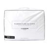 Plumón Liso Pluma Cannon 1,5 Plazas Gosse Down Blanco