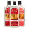 Pack Tío Nacho Antioxidante 2 Shampoo + 1 Acondicionador