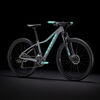 Mountain Bike Trek Marlin 5 Aro 29"