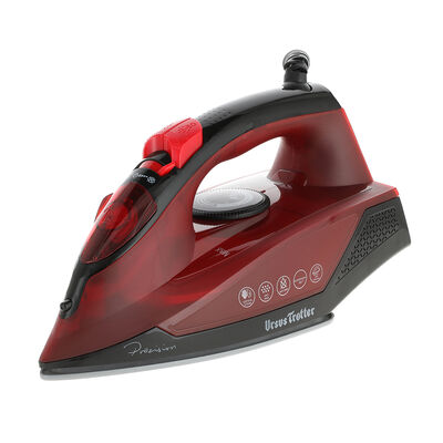 Imagen 1 del producto Plancha a Vapor Ursus Trotter UT DUNST