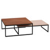 Mesa de Centro Medular Dúo