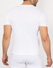 Pack 4 Camiseta Algodón Hombre Palmers