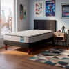 Cama Europea Flex 1,5 Plazas Dream Dual Box + Respaldo Royal Negro + Velador Rock