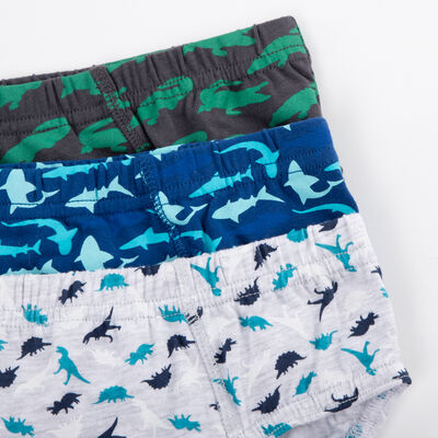 Imagen 2 del producto Pack 3 Calzoncillo de Algodón Niño Chess Azul, Negro, Rojo