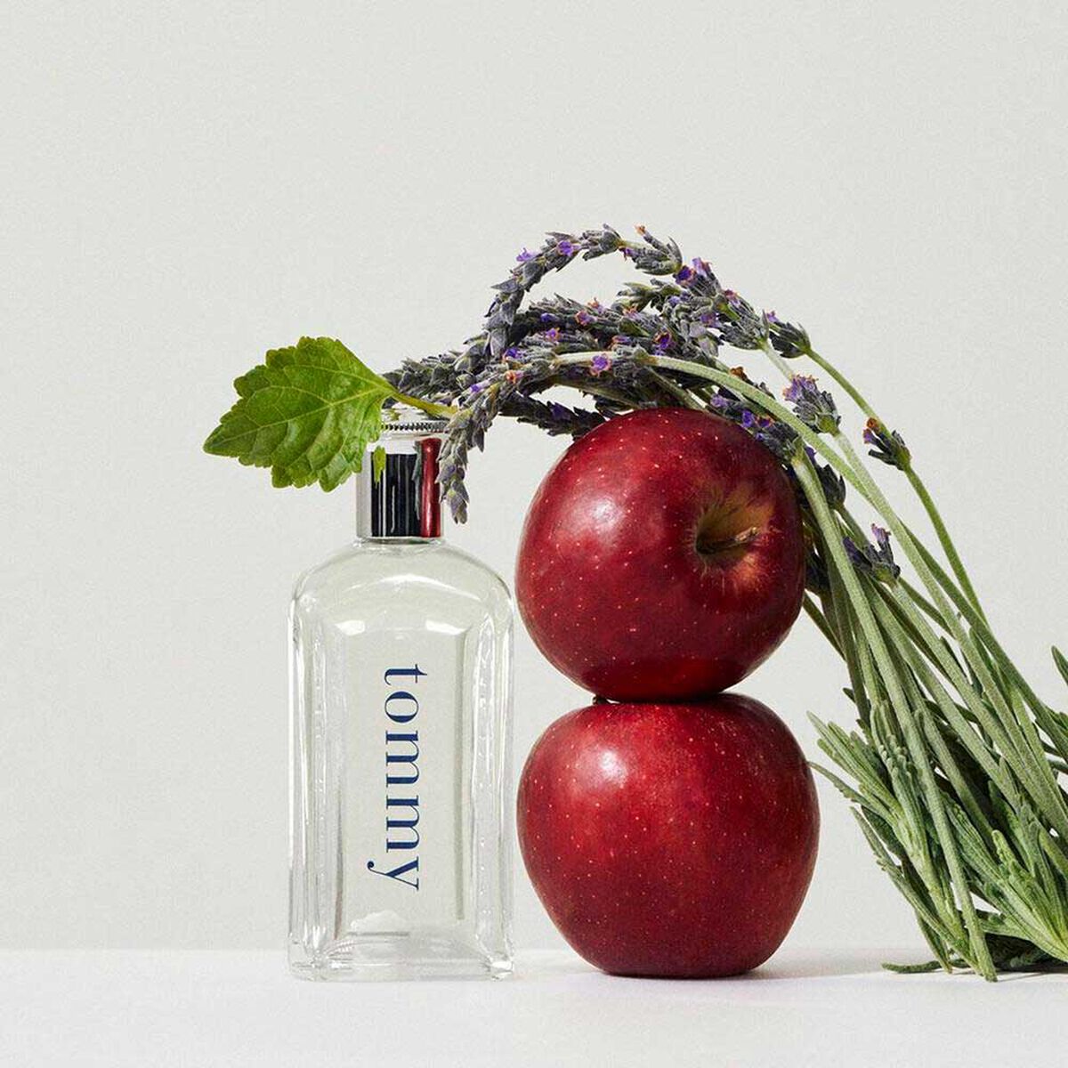 Perfume Tommy Hilfiger EDT 100 ml