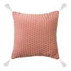 Cojín Tassels Casanova Liso Pink 45 x 45 cm