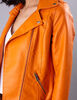 Chaqueta Básica Fiorucci Color