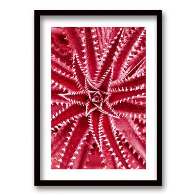 Cuadro Decorativo Retela Estrella Mar 40 x 30 cm