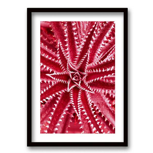 Cuadro Decorativo Retela Estrella Mar 40 x 30 cm