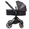 Coche Travel System F8006 DoradoSX Bebesit