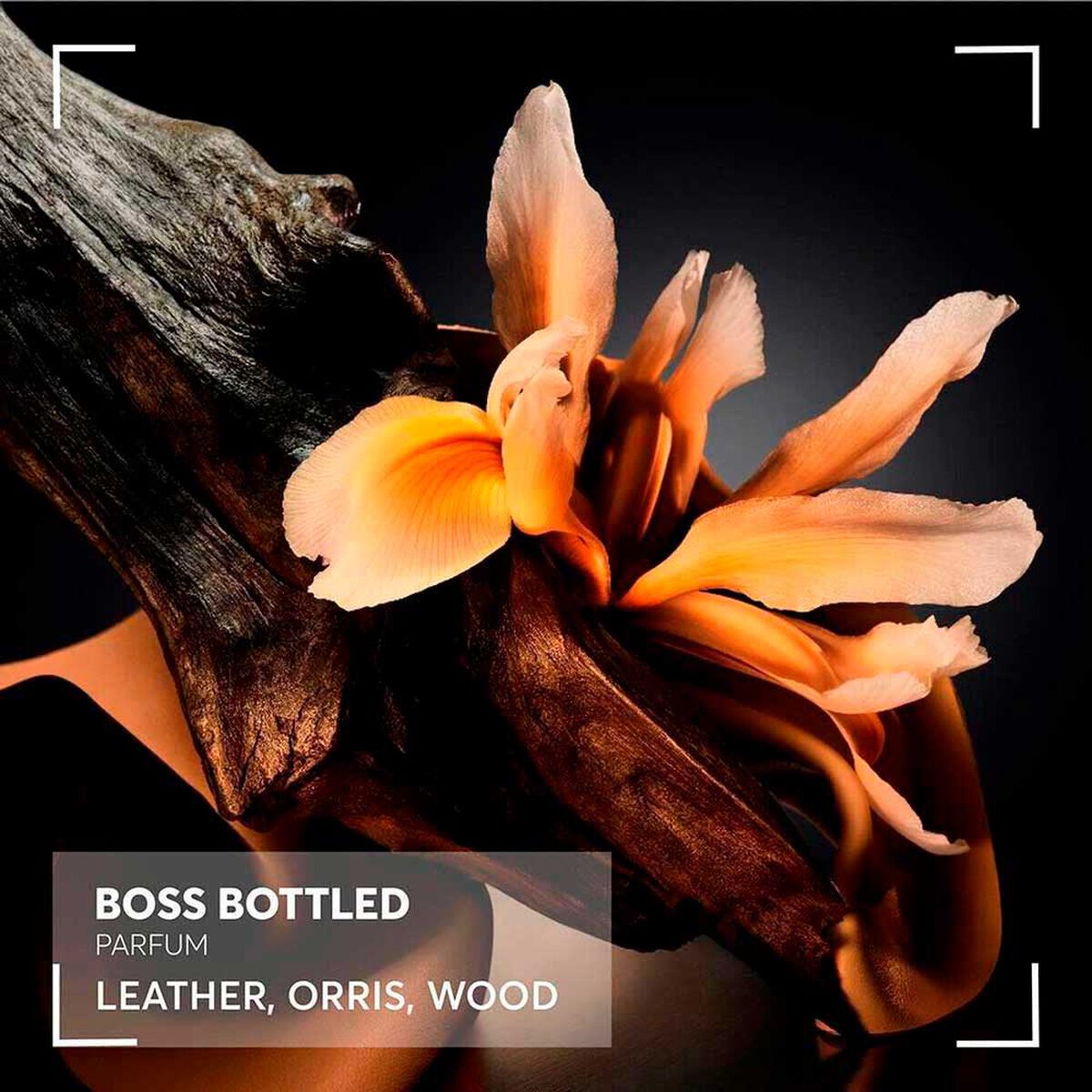 Perfume Hombre Hugo Boss&nbsp;Bottled 100 ML