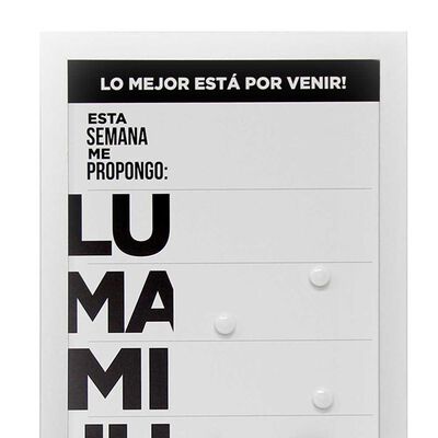 Imagen 2 del producto Pizarra Plástico Vgo Work 30 x 60 cm Blanco