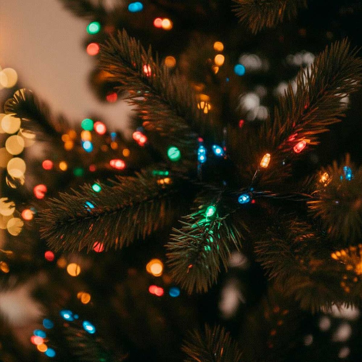 Set 200 Luces LED para &Aacute;rbol de Navidad Casanova C34VRI4055 Multicolor