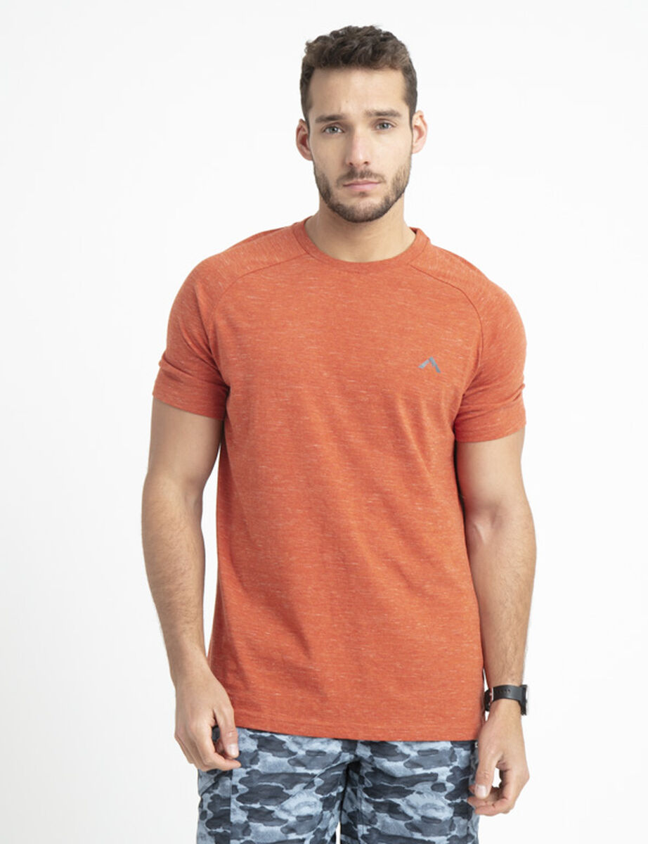 Polera  Hombre Alpinextrem