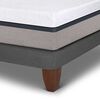 Cama Europea CIC Base Dividida 2 Plazas Balance + 2 Almohadas Da Advance Sleep