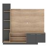 Home TV Vekkahome Reina 55 pulgadas Grafito