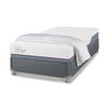 Cama Americana CIC 1,5 Plazas Excellence Plus + Plumón