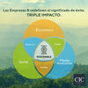 Cama Europea CIC Green Infinity 2 Plazas + 1 Respaldo Villarrica Mostaza