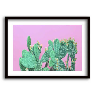 Cuadro Decorativo Retela Pink Cactus II 50 x 35 cm