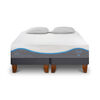 Cama Europea CIC Base Dividida King Alaska + Almohadas Viscoelásticas
