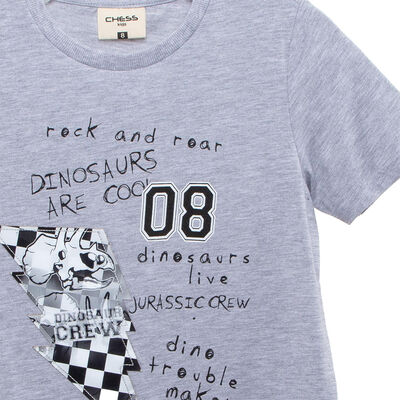 Imagen 2 del producto Polera Manga Corta Niño Chess Gris