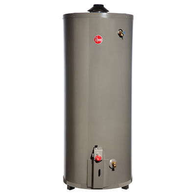 Imagen 1 del producto Termo A Gas Natural Rheem 114 lts.