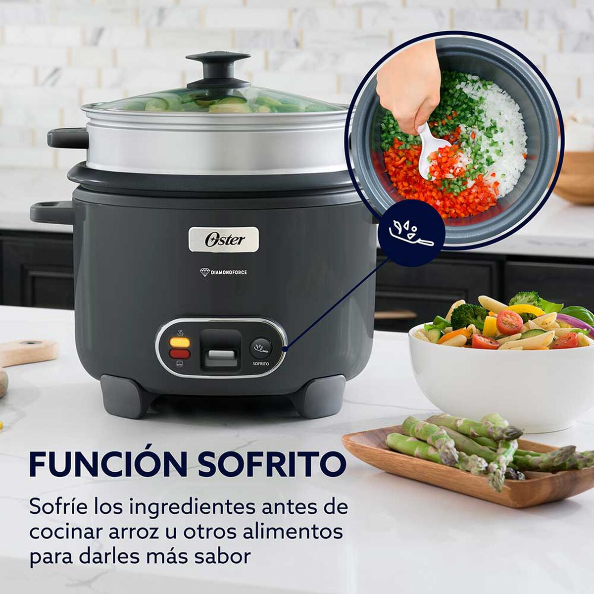 Arrocera Oster CKSTRC10DFSKE-052 2 lts.