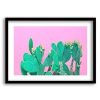 Cuadro Decorativo Retela Pink Cactus II 50 x 35 cm