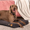Colchón para Mascota CIC Pet Dreams Talla M