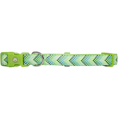 Collar Mascan Puntitos para Perro
