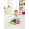 Fisher Price Erizo Estímulos y Juego