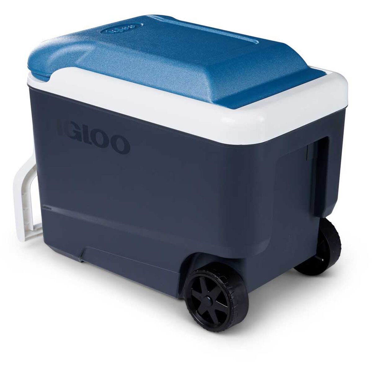 Cooler Roller Maxcold Gris Igloo 38 Litros