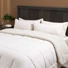 Plum&oacute;n Rosen 2 Plazas Sherpa Liso Beige