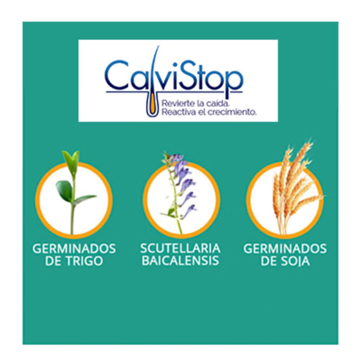 Calvistop Tratamiento Capilar 1 Mes