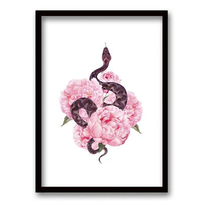 Cuadro Decorativo Retela Snake Rose 50 x 35 cm