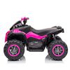 Cuatrimoto Rosa Bebesit