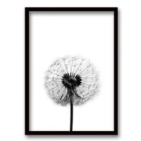 Cuadro Decorativo Retela Flor de Leon B 40 x 30 cm