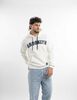 Poler&oacute;n Hoodie Hombre Icono