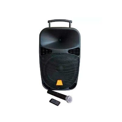 Imagen 1 del producto Parlante 12'' Introtech BTS-06