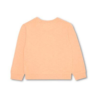 Imagen 2 del producto Polerón Casual Niño Osito naranjo